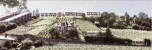Concours d’architecture privé - Terrafoncier