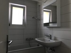 Rénovation de deux appartements de 4.5 pièces - Terrafoncier